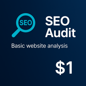 Starter SEO Audit – Quick Boost for Your Website